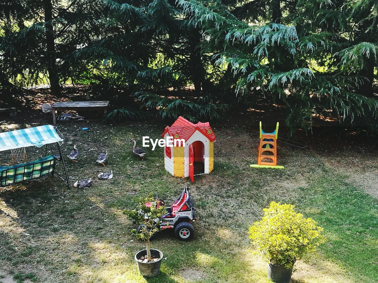 HIGH ANGLE VIEW OF PLANTS AND TREES