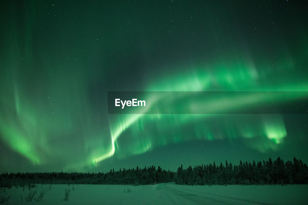 Scenic view of tree against sky at night during winter