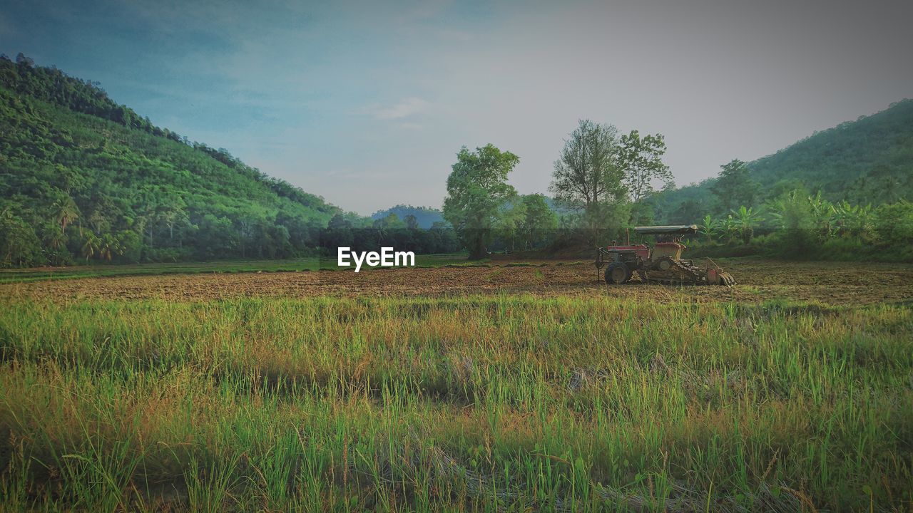 SCENIC VIEW OF LAND AGAINST SKY