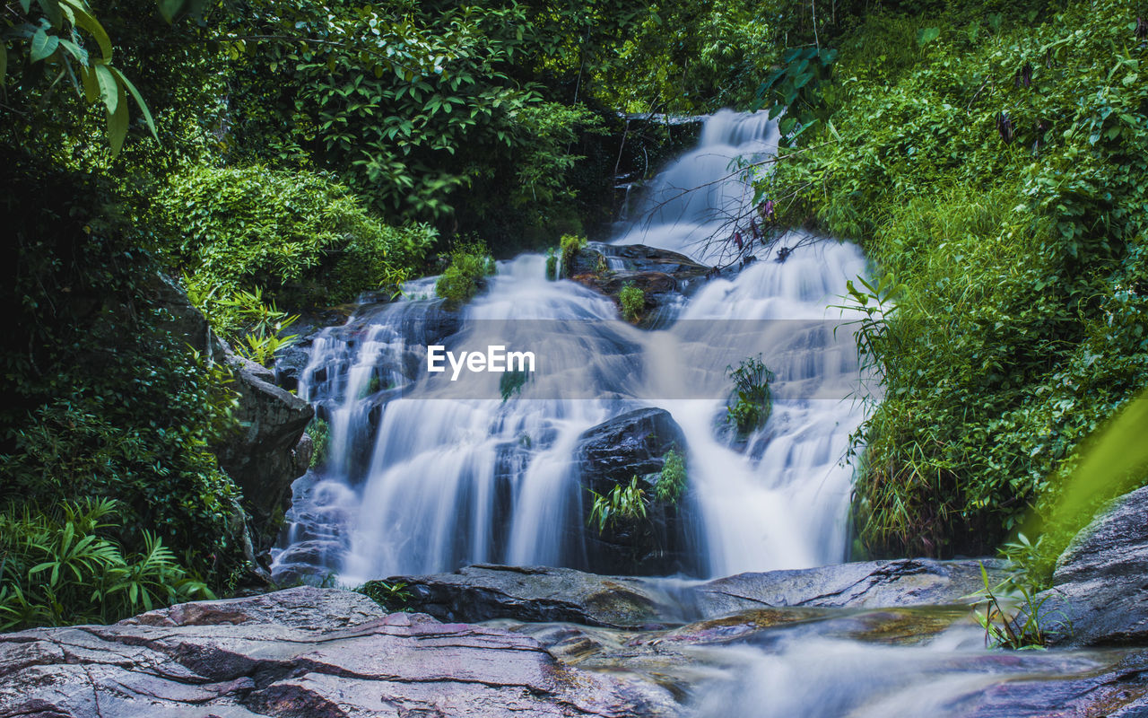 Scenic view of waterfall in forest