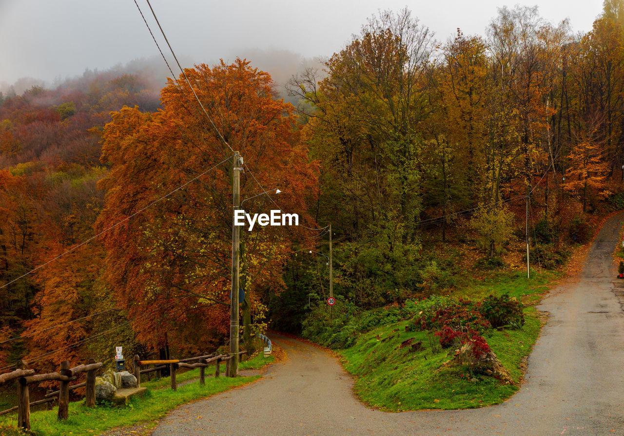 FOOTPATH AMIDST TREES DURING AUTUMN