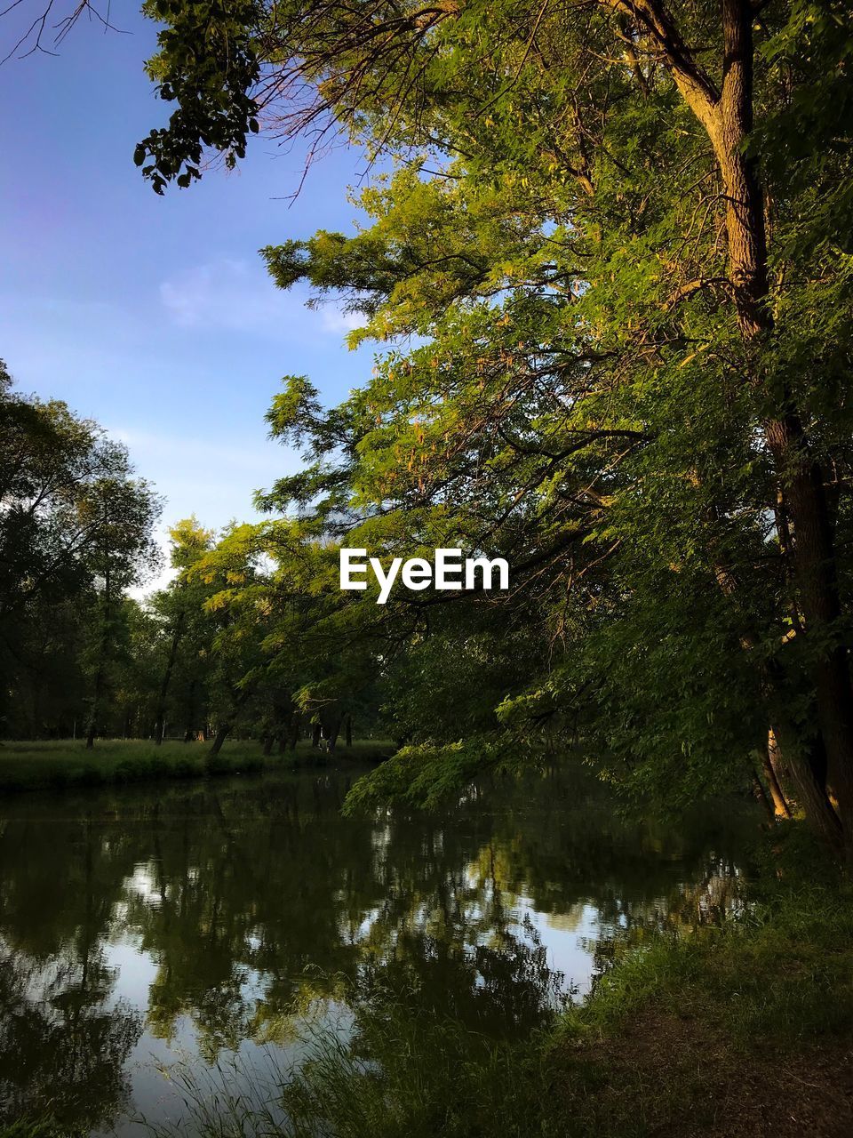 REFLECTION OF TREES IN LAKE AGAINST SKY