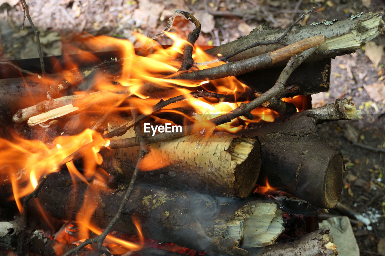 CLOSE-UP OF FIRE ON LOG