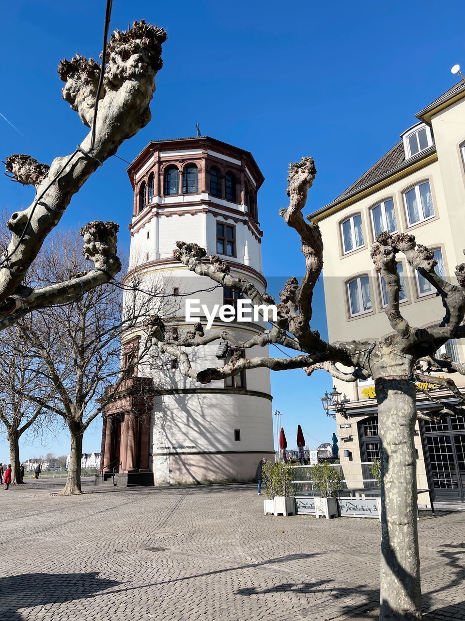 architecture, building exterior, built structure, sky, nature, urban area, city, landmark, clear sky, tree, sunny, building, blue, travel destinations, town, day, sunlight, street, no people, statue, history, the past, outdoors, plant, sculpture, tower, travel, tourism, low angle view