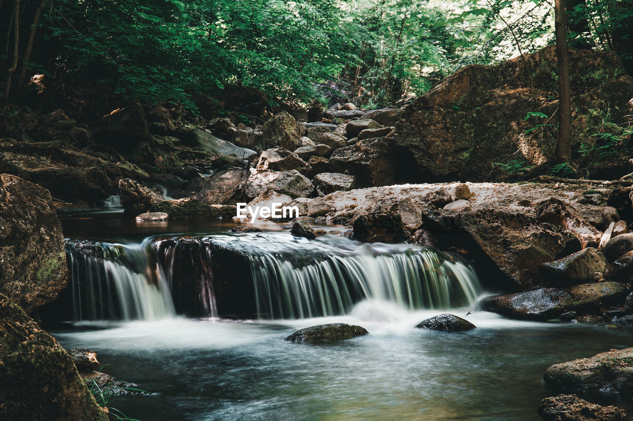 Scenic view of waterfall in forest