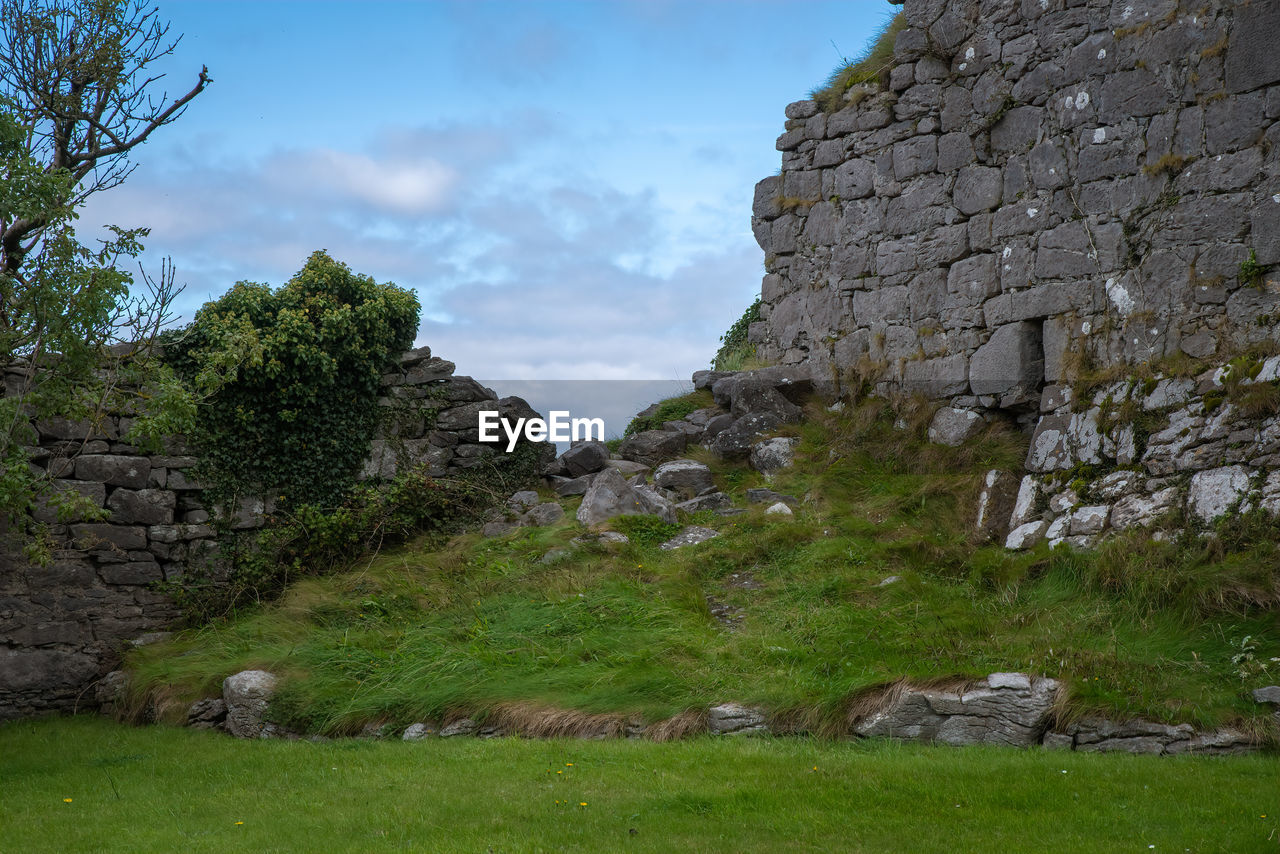 VIEW OF OLD RUIN AMIDST PLANTS ON FIELD