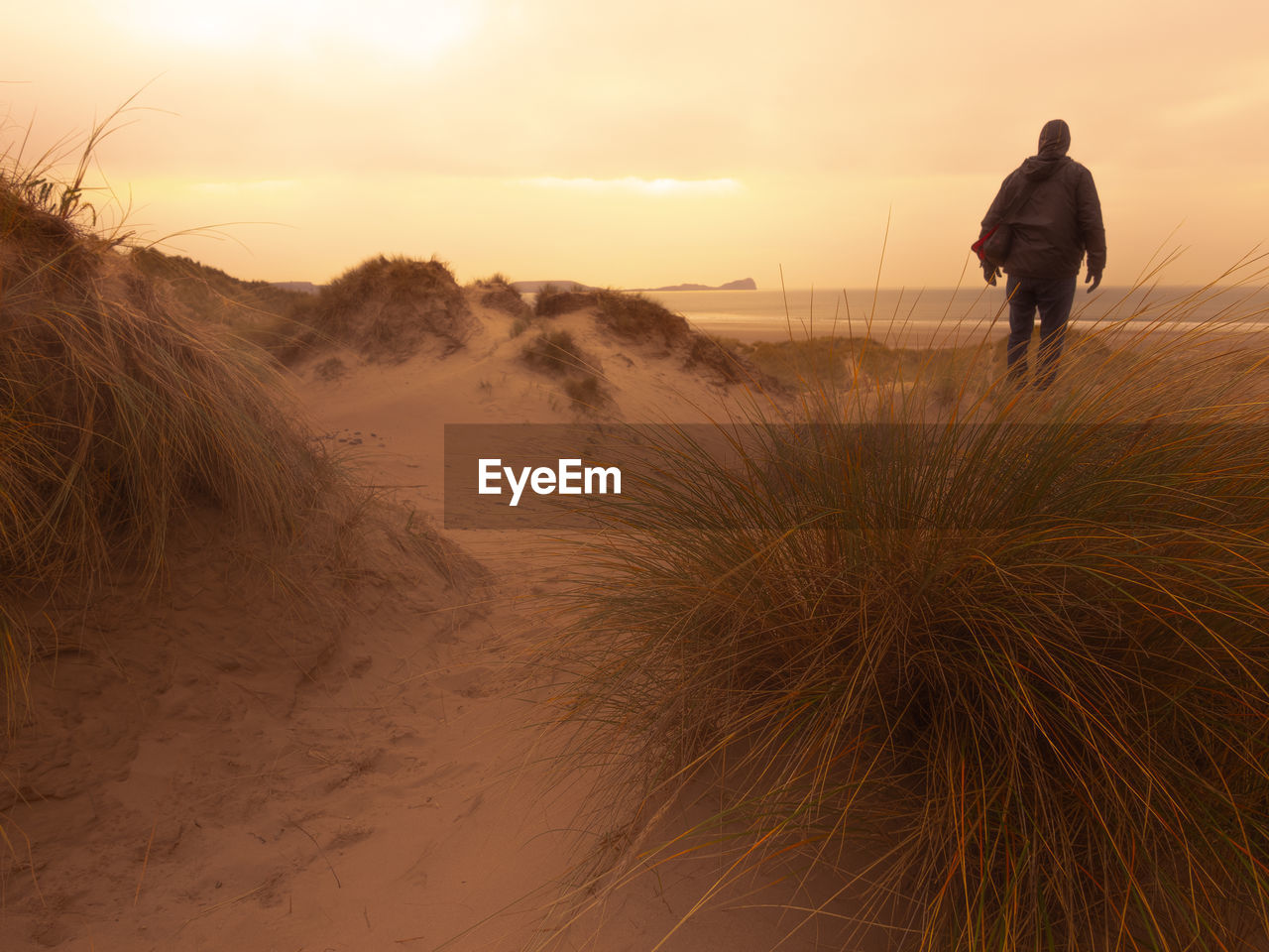 Rear view of man walking on dunes against sky during sunset