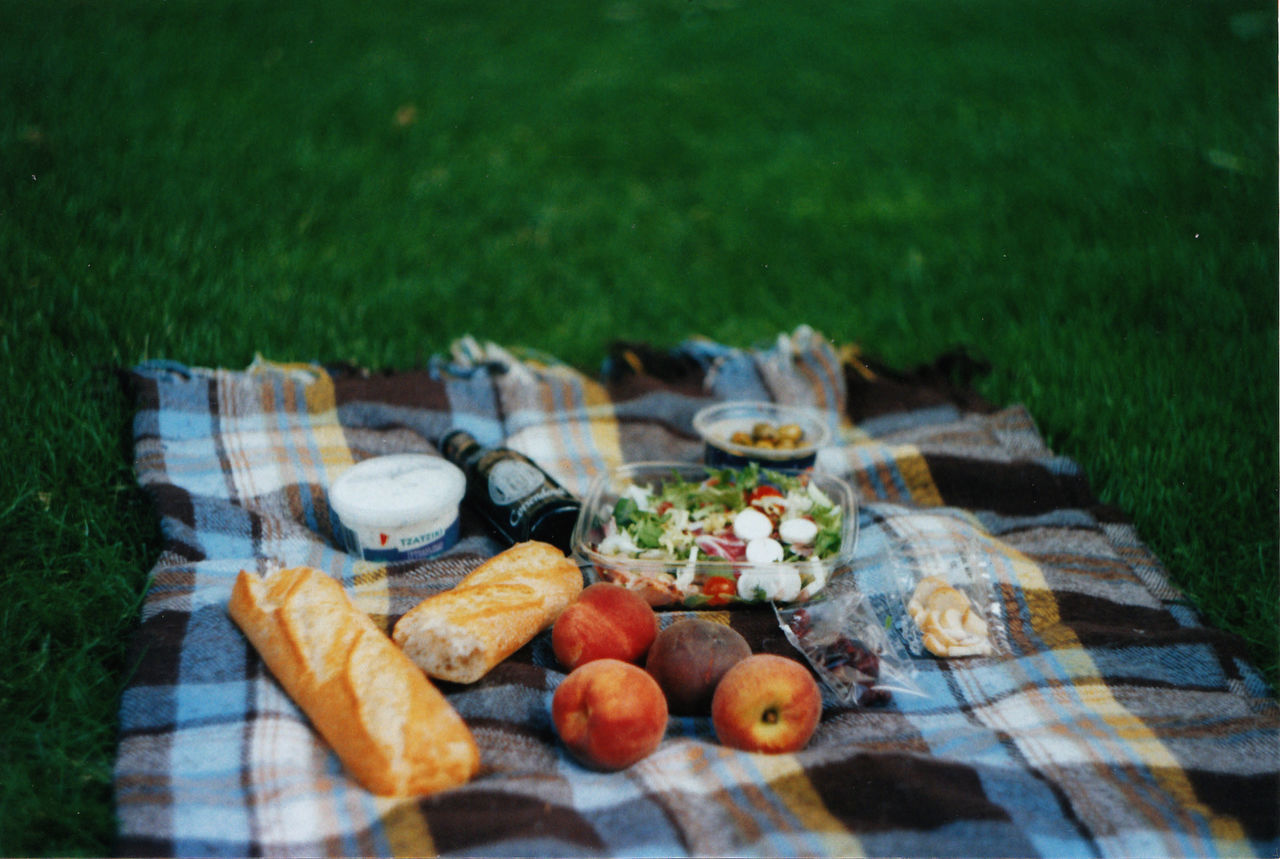 Food on picnic blanket at park