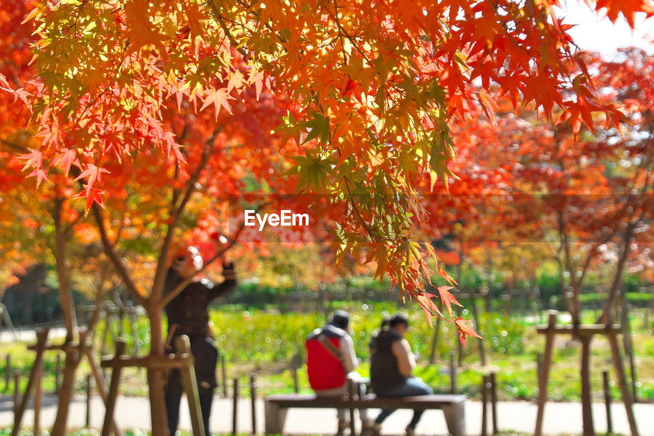 People at park autumn