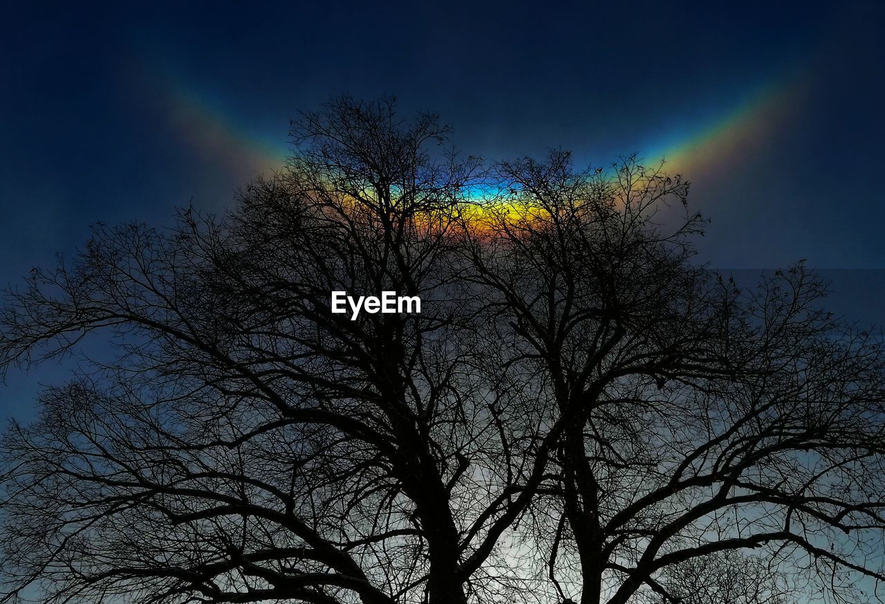 LOW ANGLE VIEW OF SILHOUETTE BARE TREE AGAINST RAINBOW