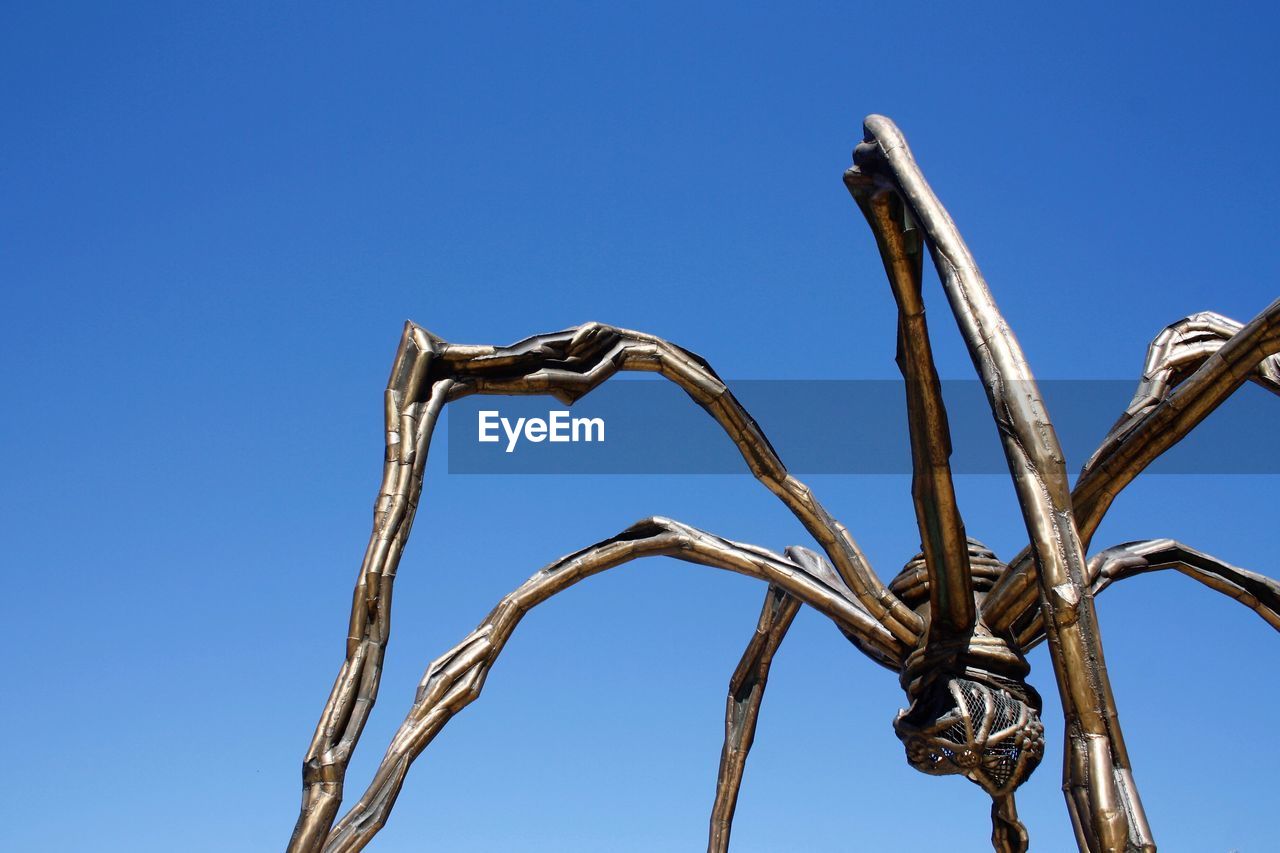 CLOSE-UP LOW ANGLE VIEW OF BLUE SKY AGAINST CLEAR BACKGROUND