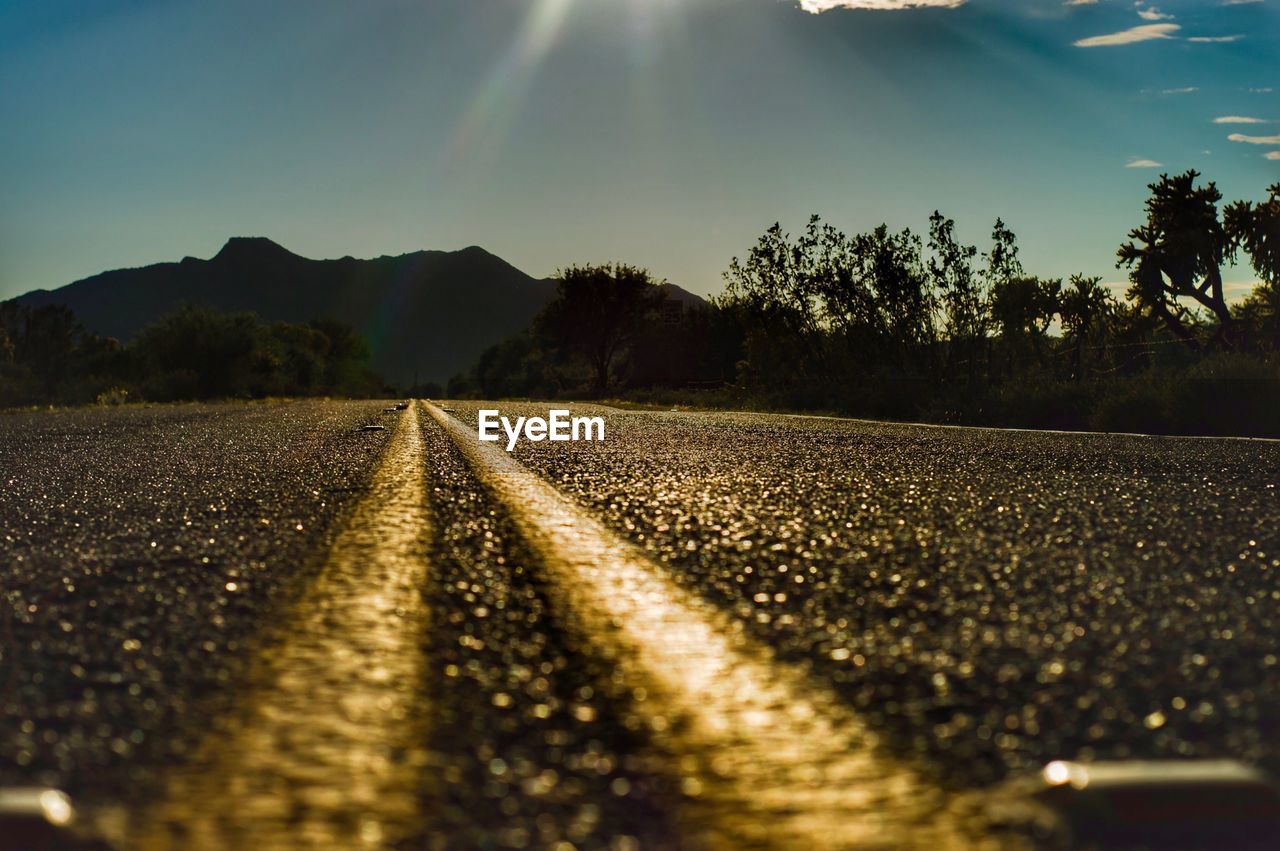 SURFACE LEVEL OF ROAD BY TREES AGAINST SKY