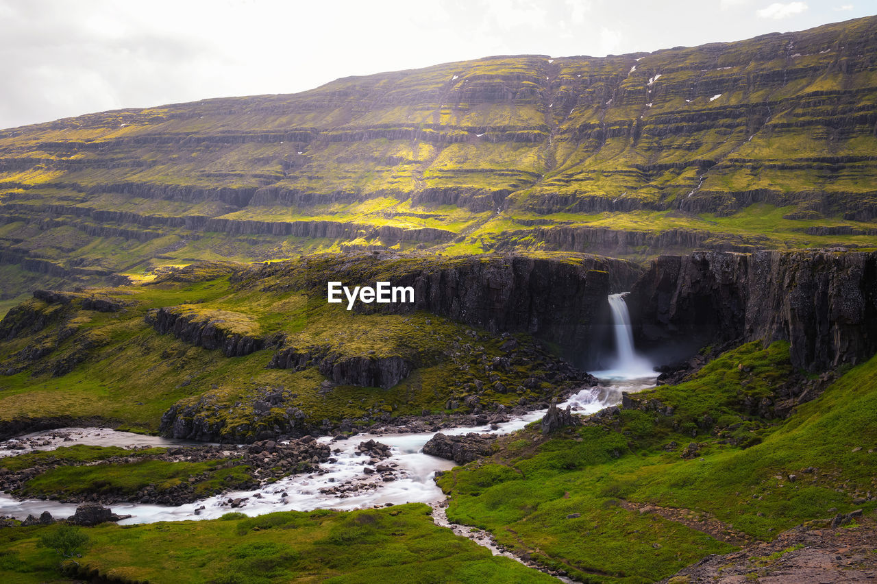 scenic view of waterfall in forest