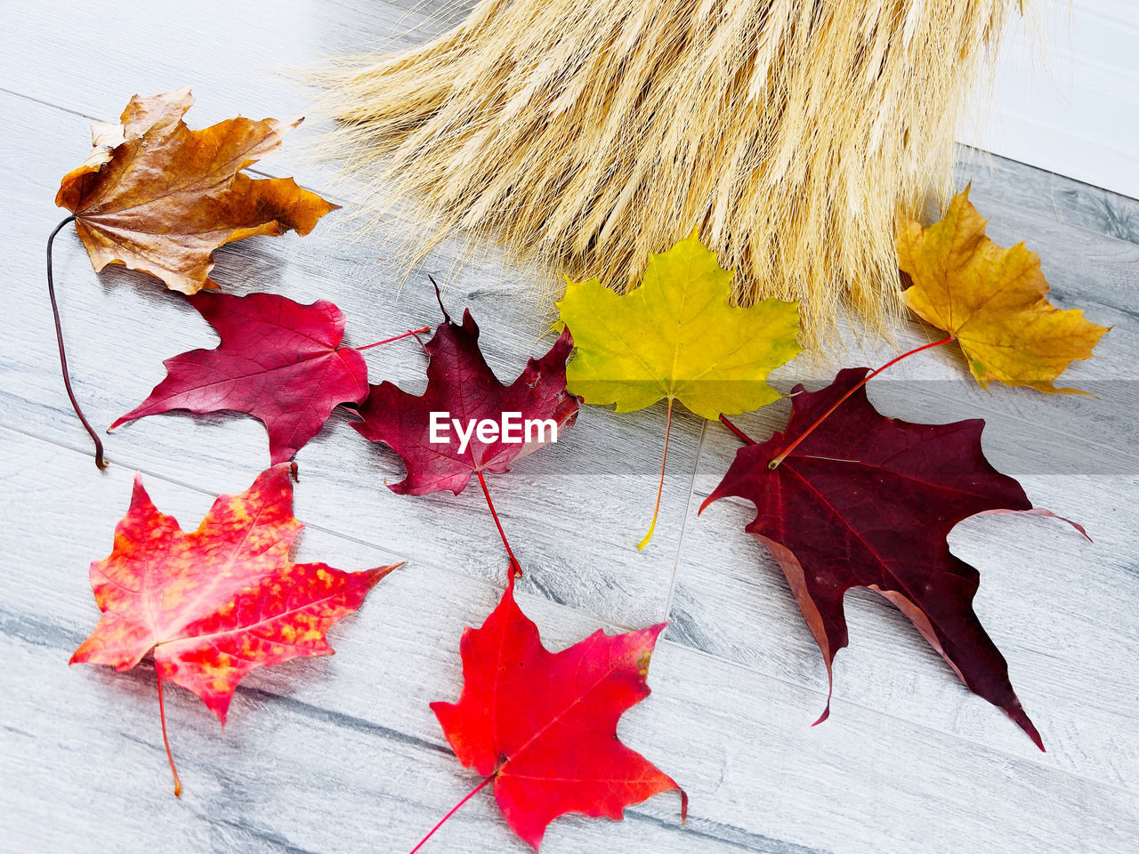 autumn, leaf, plant part, maple leaf, red, no people, maple, dry, nature, flower, plant, high angle view, still life, close-up, yellow, wood, indoors, falling