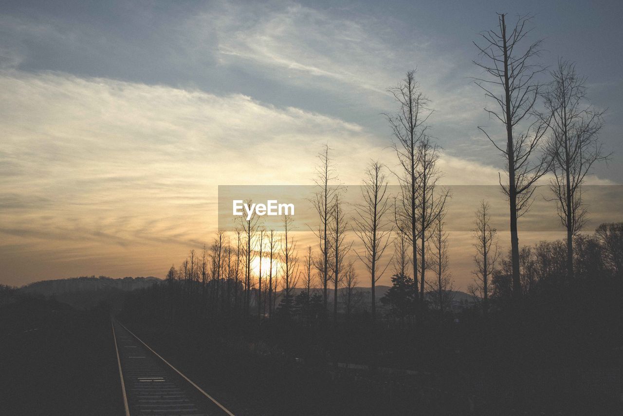 Railroad tracks with bare trees at dusk