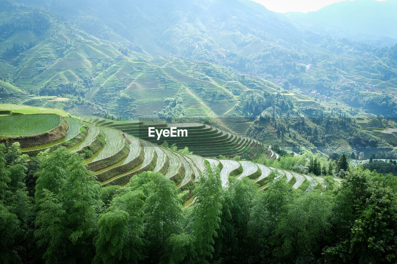 Aerial view of agricultural landscape