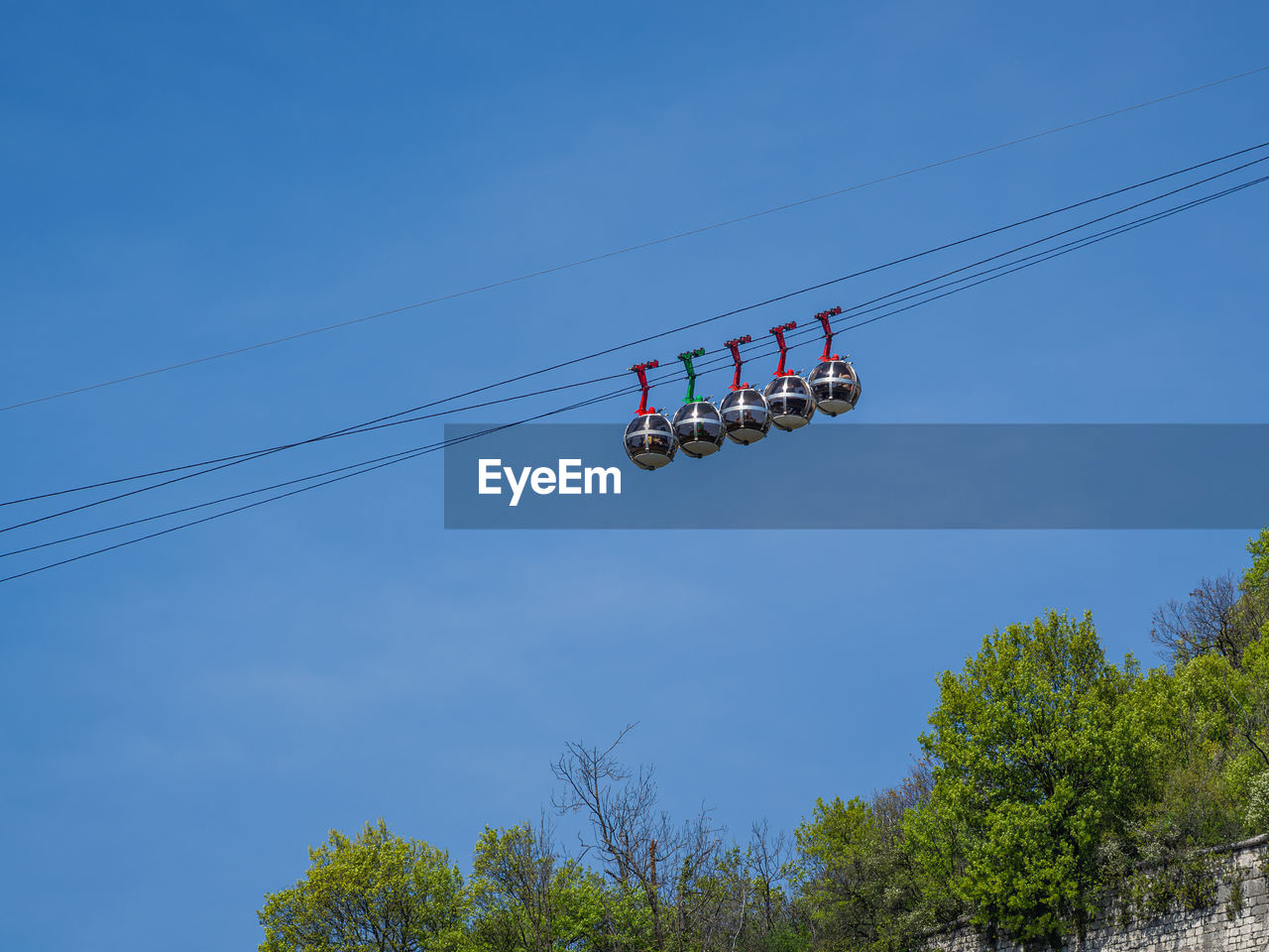 low angle view of trees against clear sky
