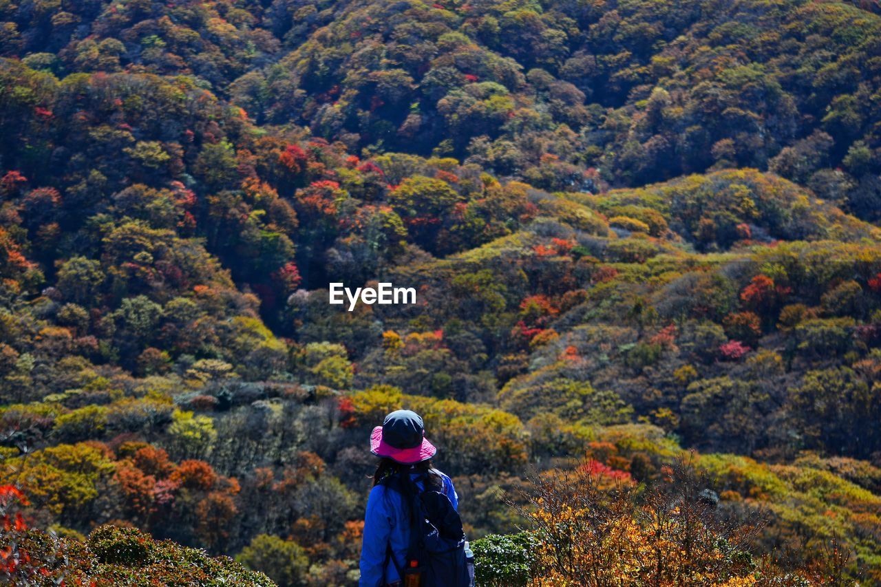 Woman standing by trees in forest during autumn