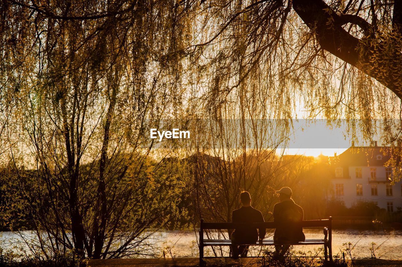 COUPLE SITTING ON TREE AT SUNSET