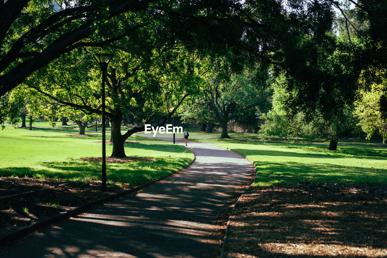 Footpath amidst grassy field at park
