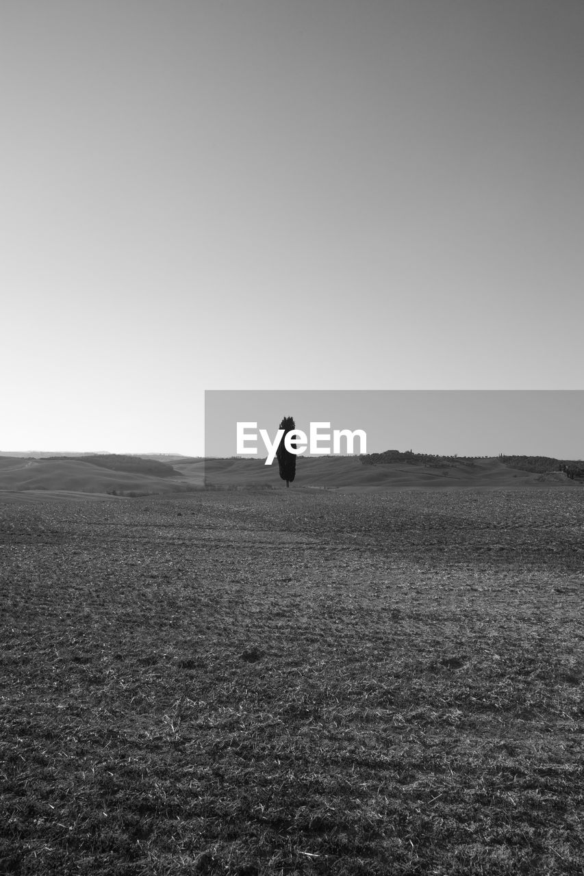 MAN STANDING ON FIELD