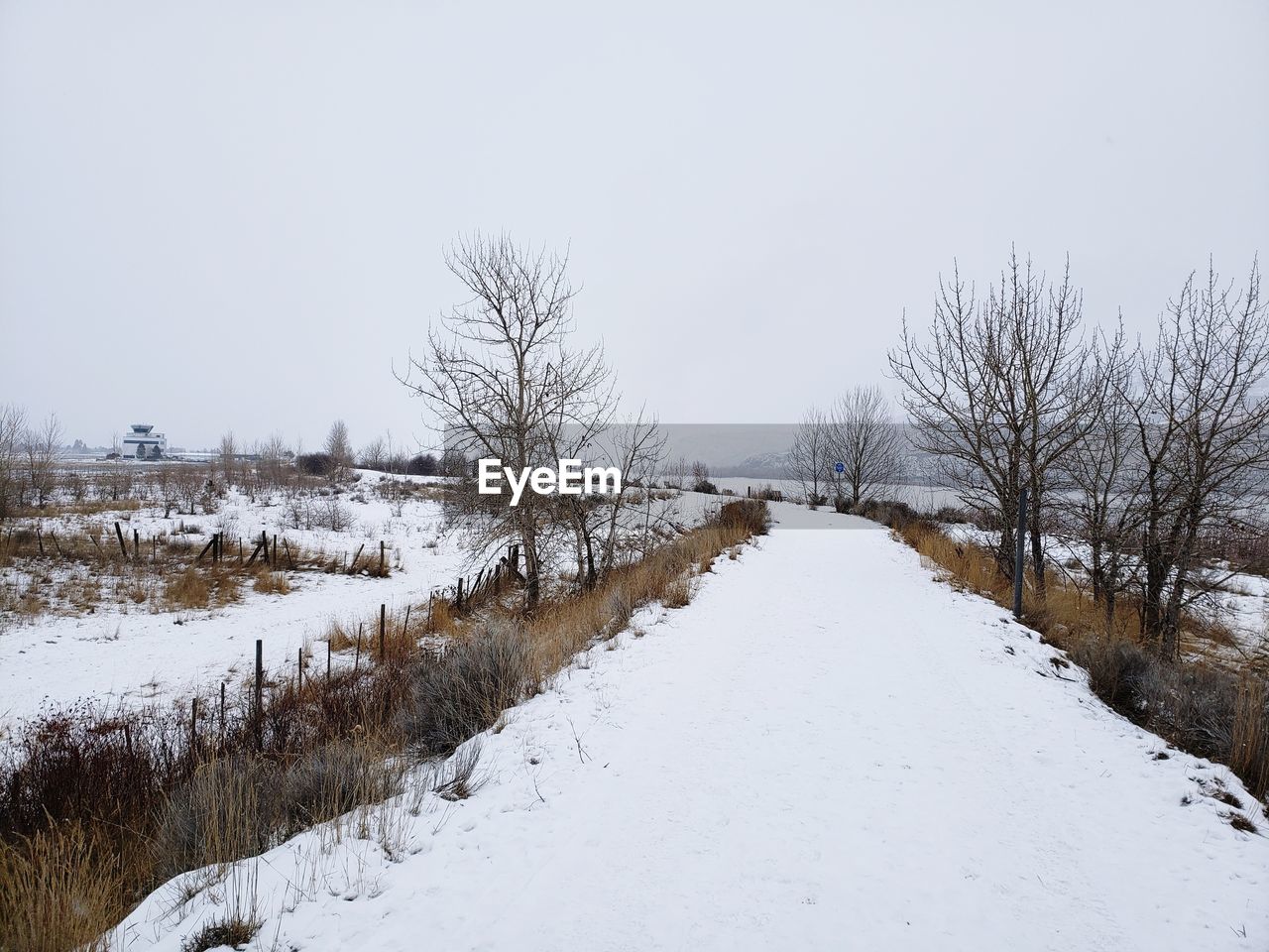 Bare trees on snow covered field against sky