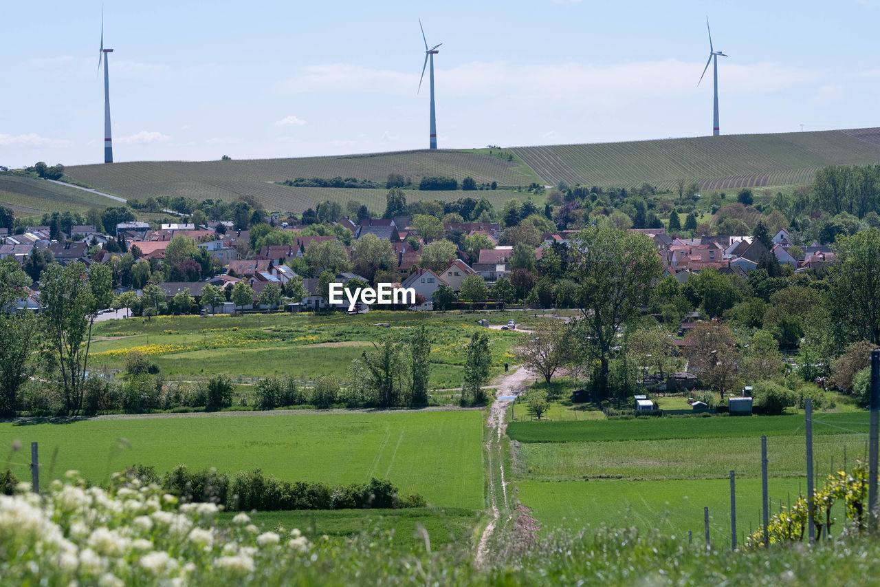 SCENIC VIEW OF LANDSCAPE