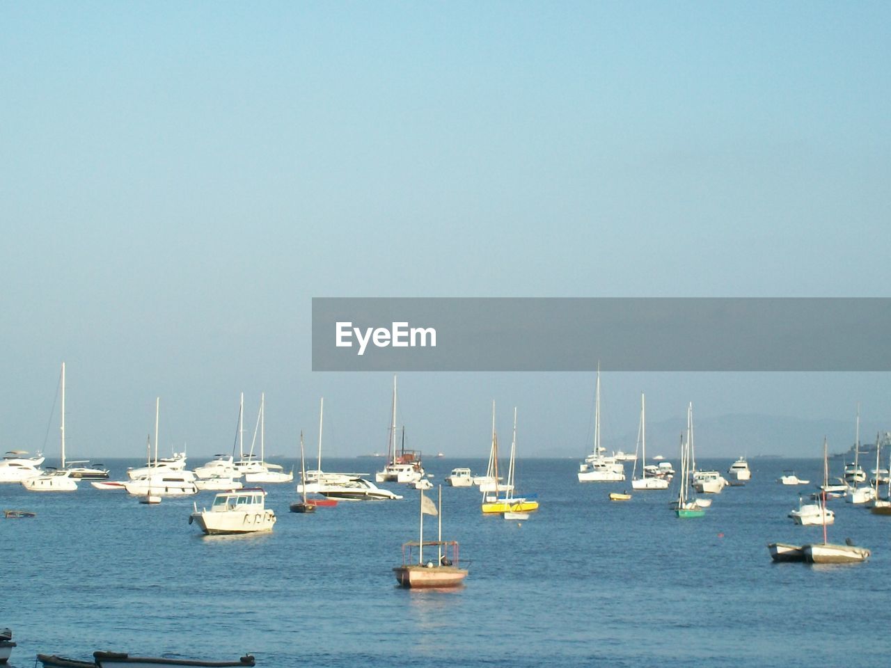 SAILBOATS IN SEA