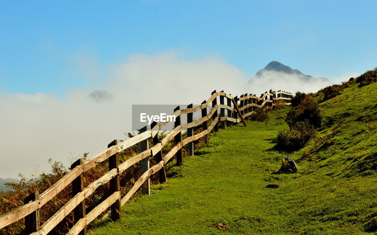 Mountain meadows in the picos de europa national park, asturias, spain.