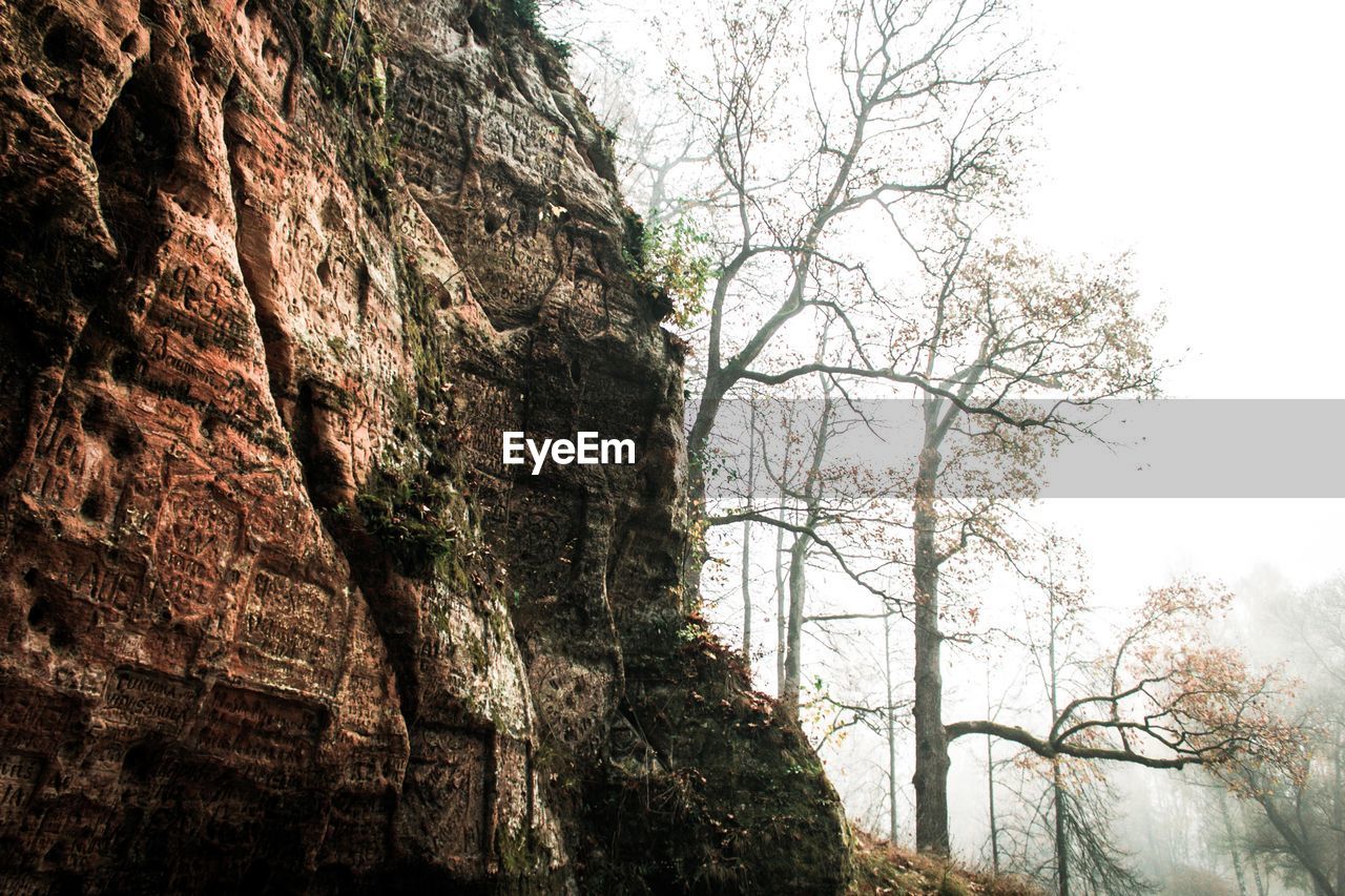 Low angle view of rock formation amidst trees against sky