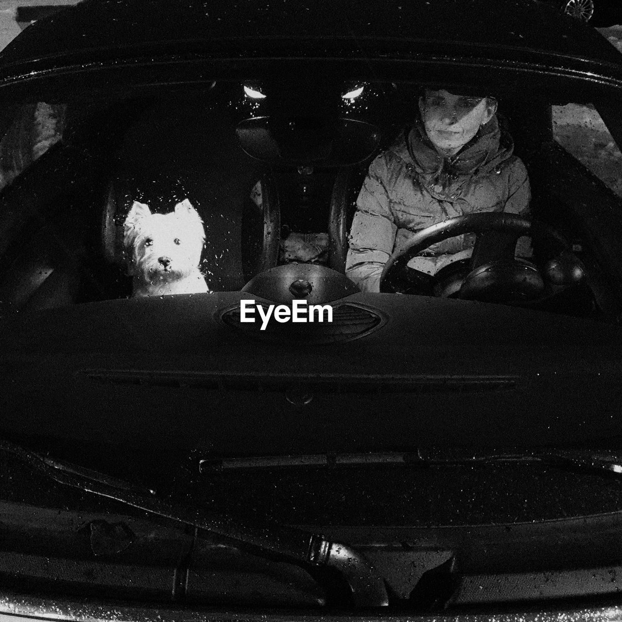 Woman sitting with dog in car seen through windshield at night
