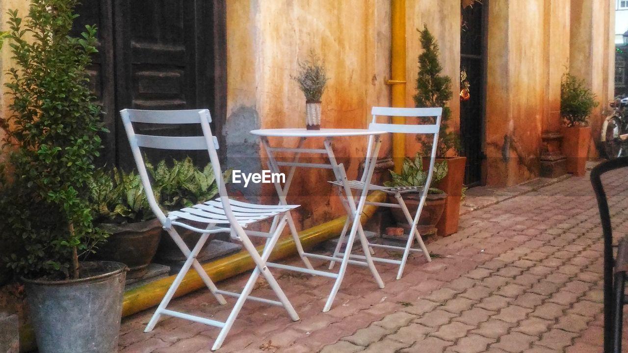 EMPTY CHAIRS AND TABLE BY TREE