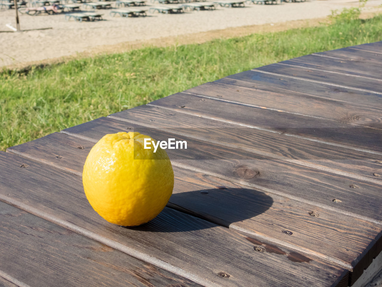 fruit, citrus fruit, lemon, food and drink, healthy eating, food, yellow, plant, wood, no people, freshness, nature, wellbeing, day, outdoors, grass, sunlight, produce, shadow, citrus, high angle view, water, table, bench