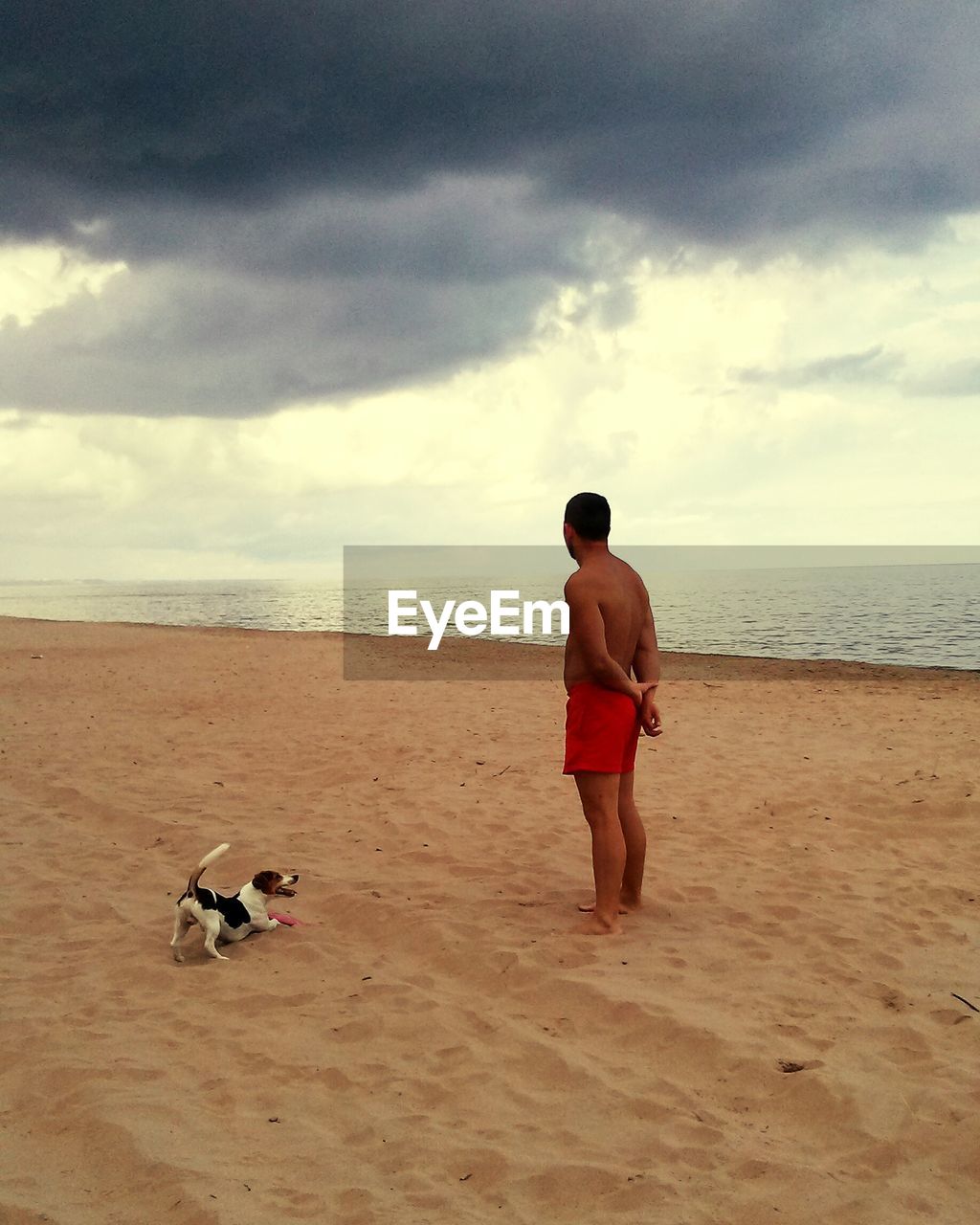 Man standing by dog on beach against cloudy sky