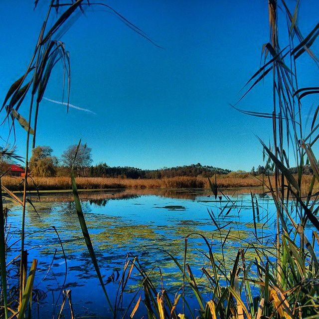 SCENIC VIEW OF LAKE AGAINST CLEAR SKY