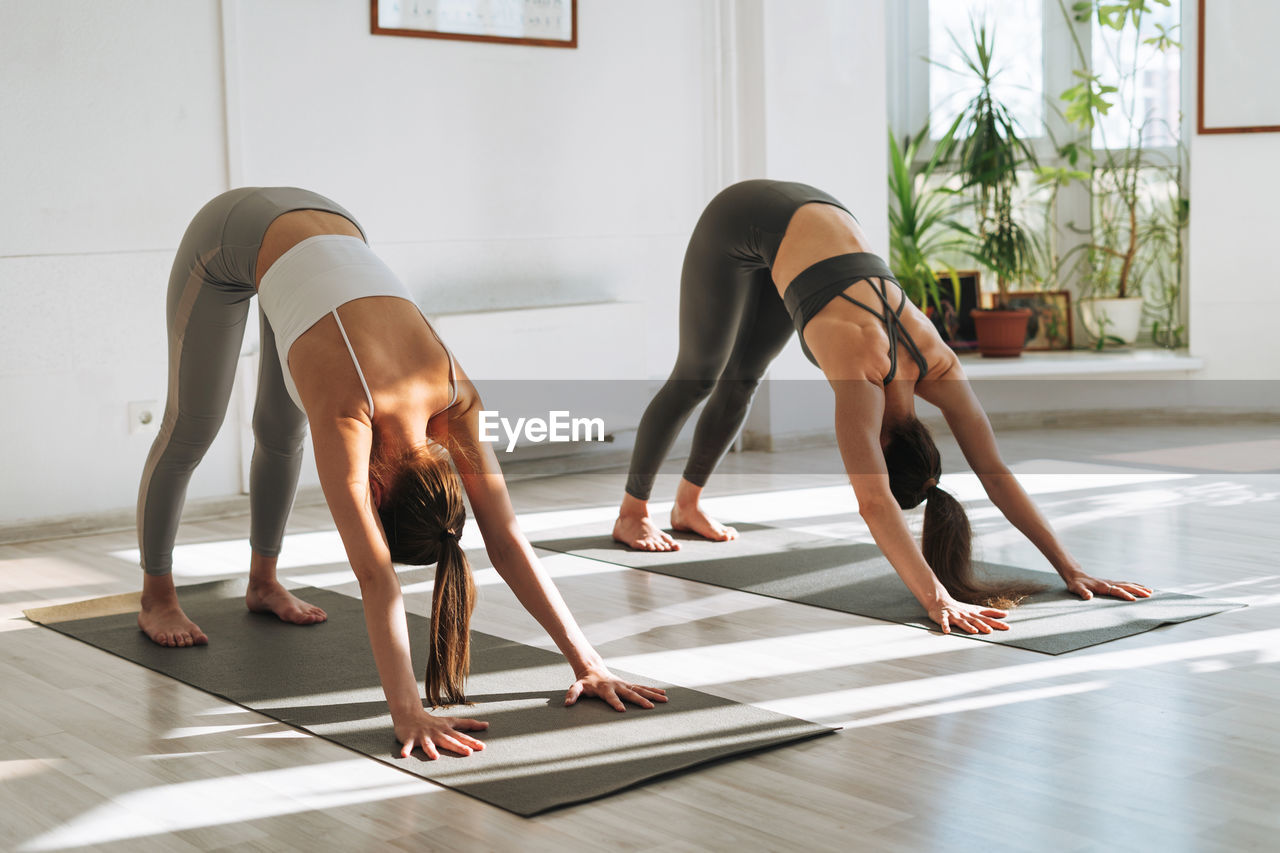 Young fit women practice yoga doing asana in a bright yoga studio