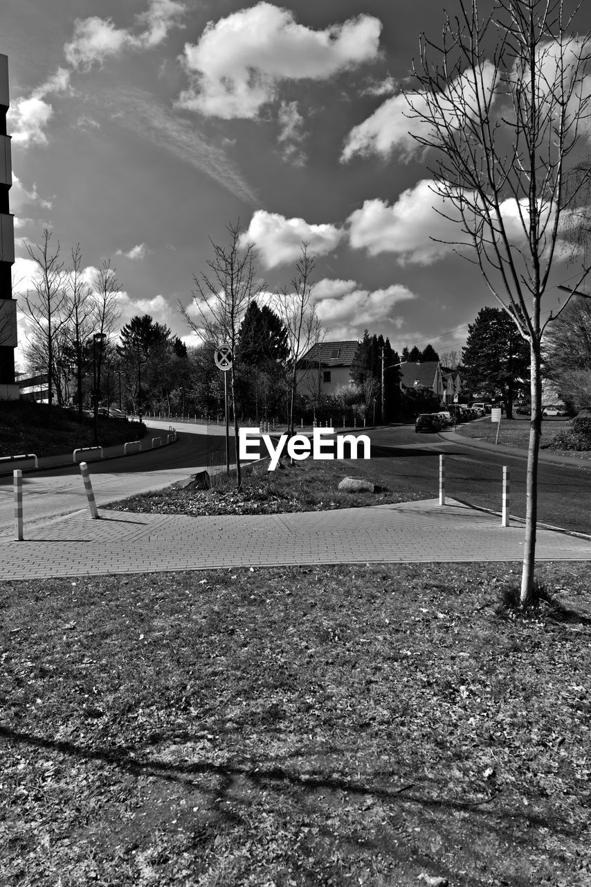 TREES AND SKY IN PARK