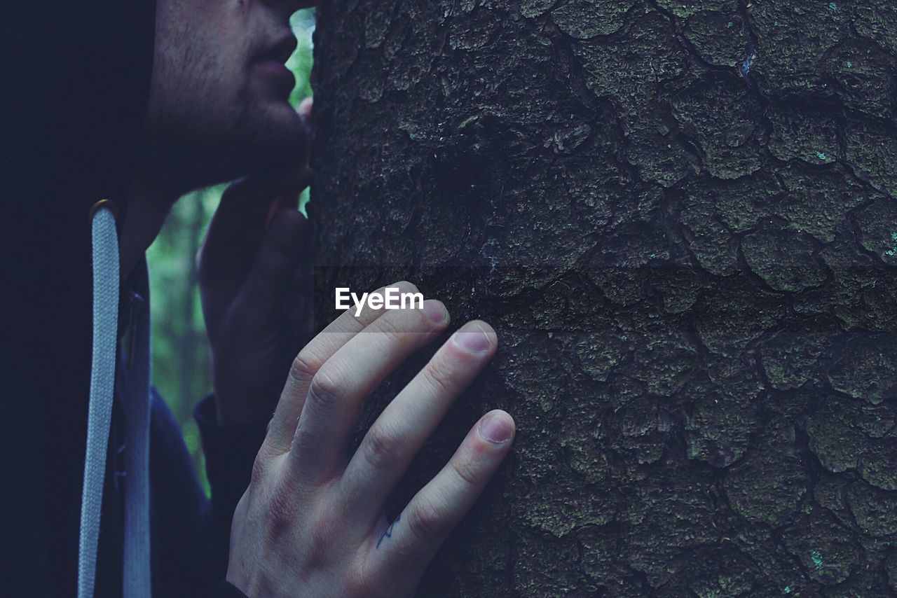 Cropped image of man touching tree trunk