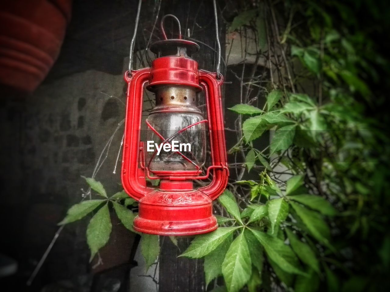 CLOSE-UP OF RED LANTERN