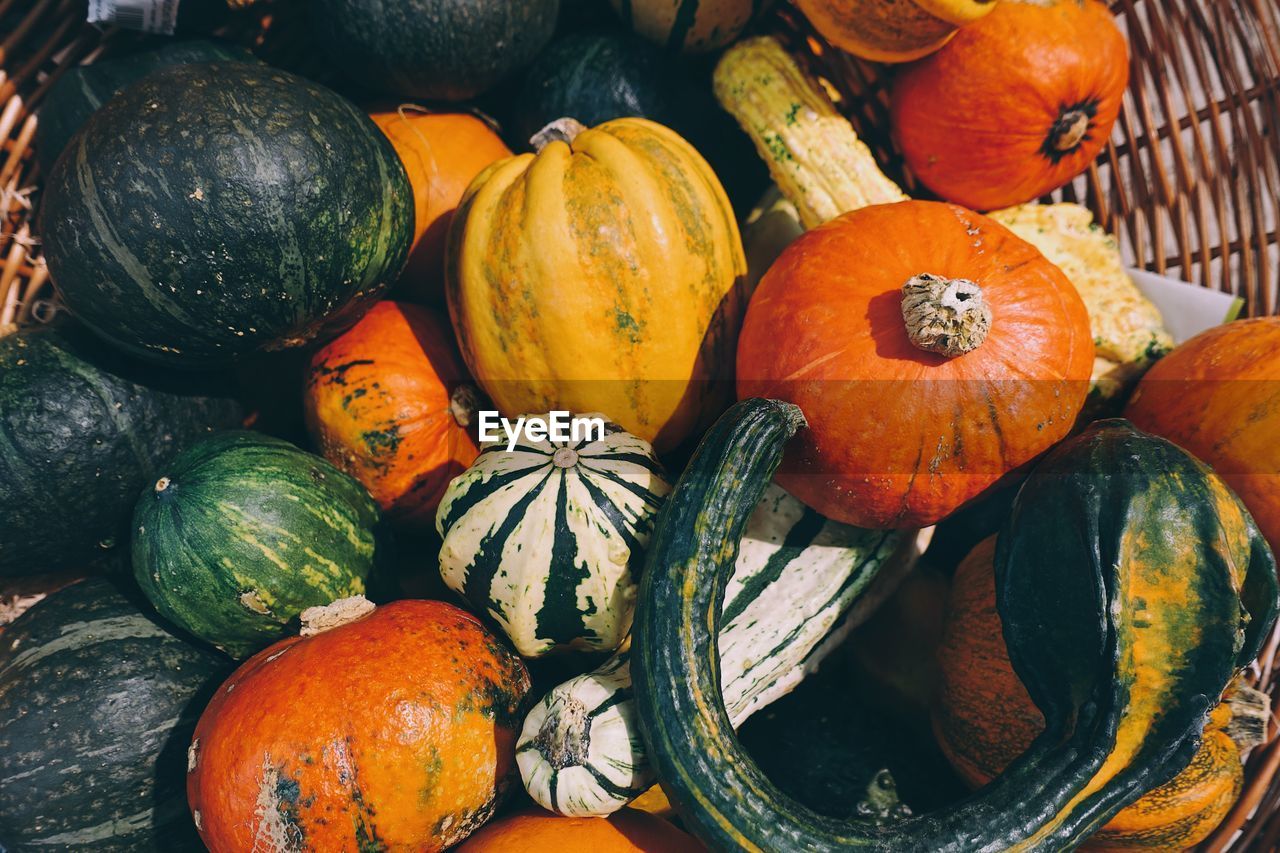 Close-up of pumpkins in market during autumn