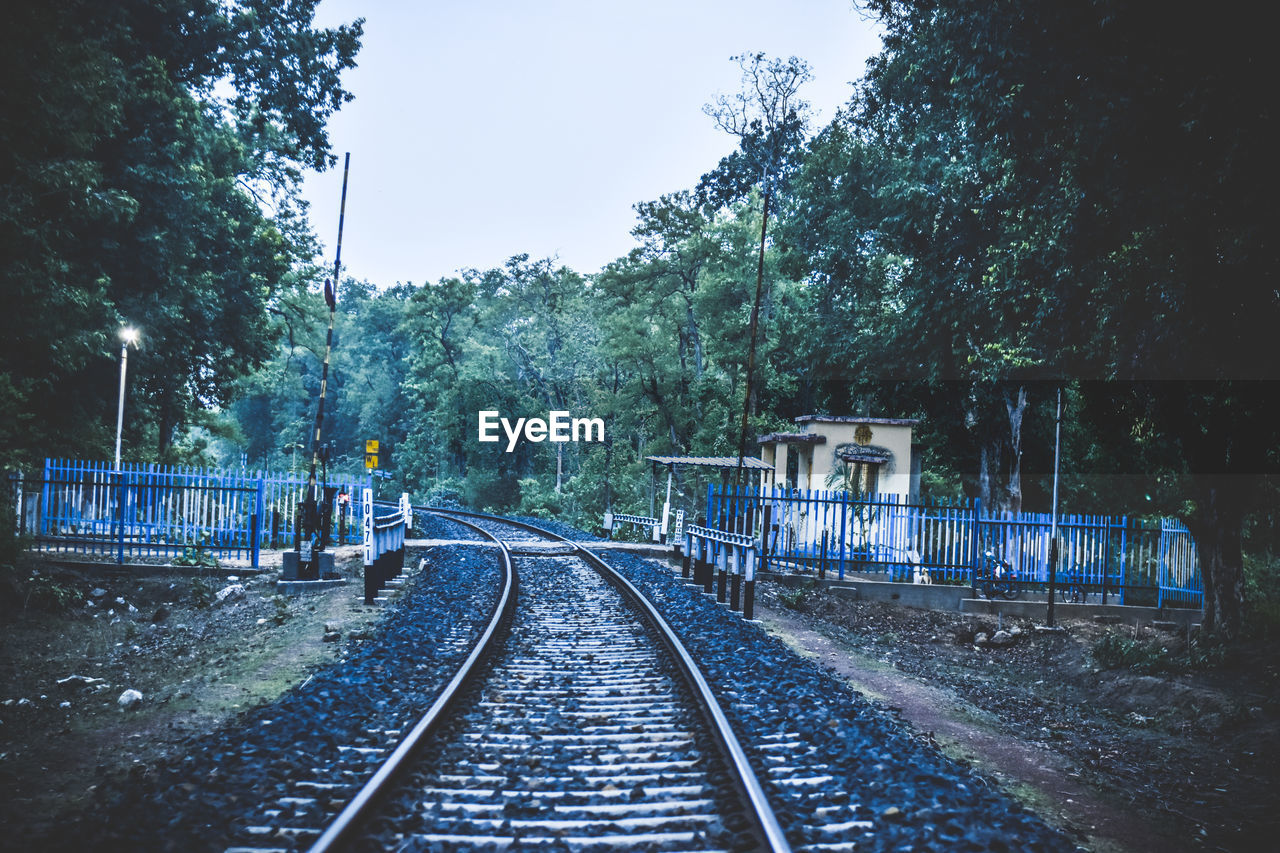 Railroad tracks amidst trees against sky