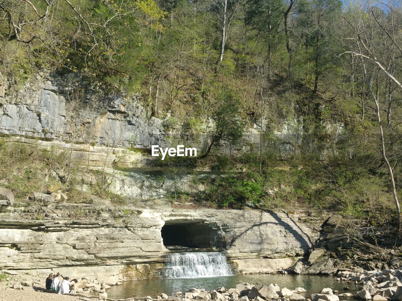 Stream flowing in forest