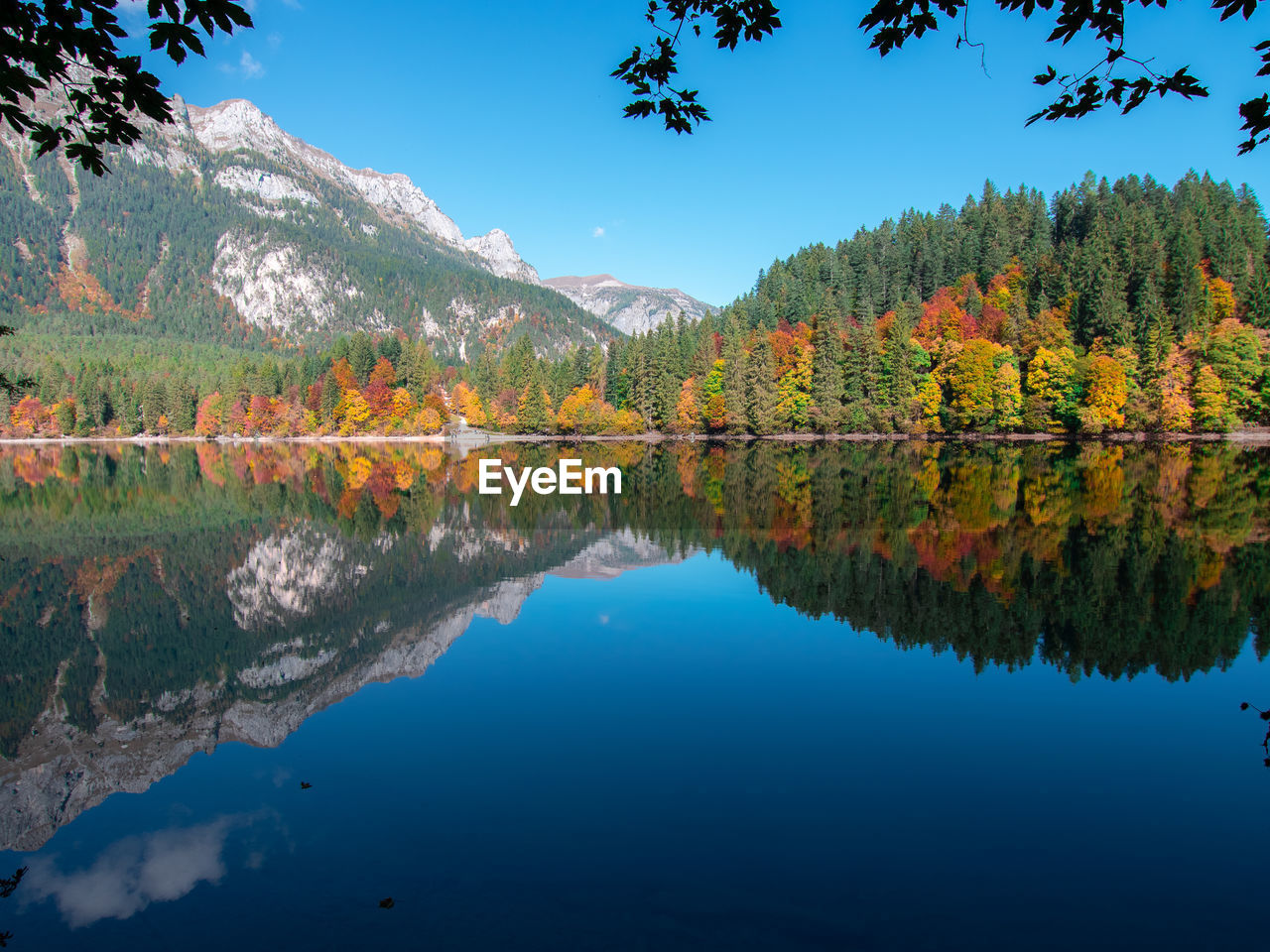 Reflection of trees in lake during autumn