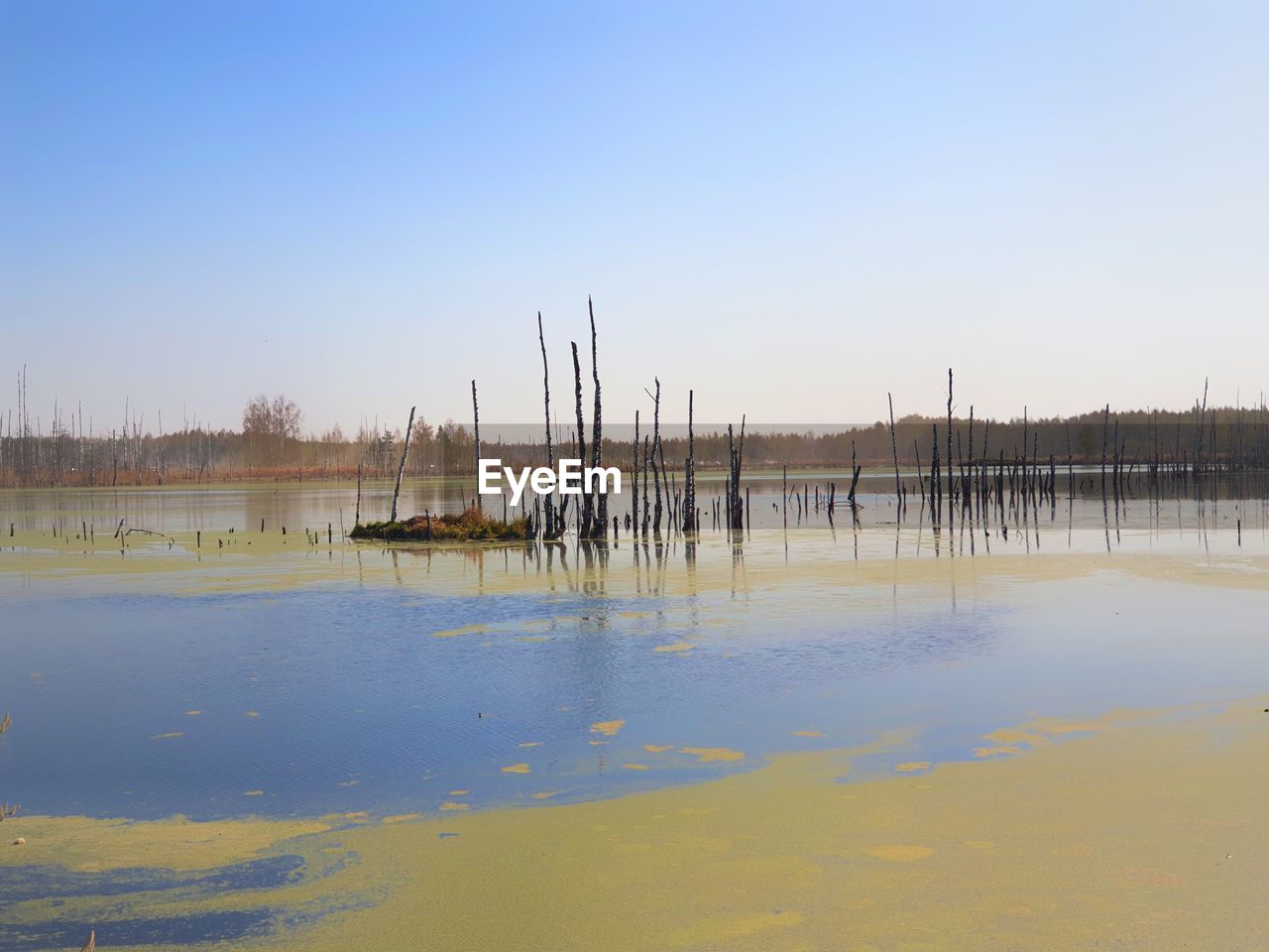 WOODEN POSTS IN LAKE AGAINST CLEAR SKY