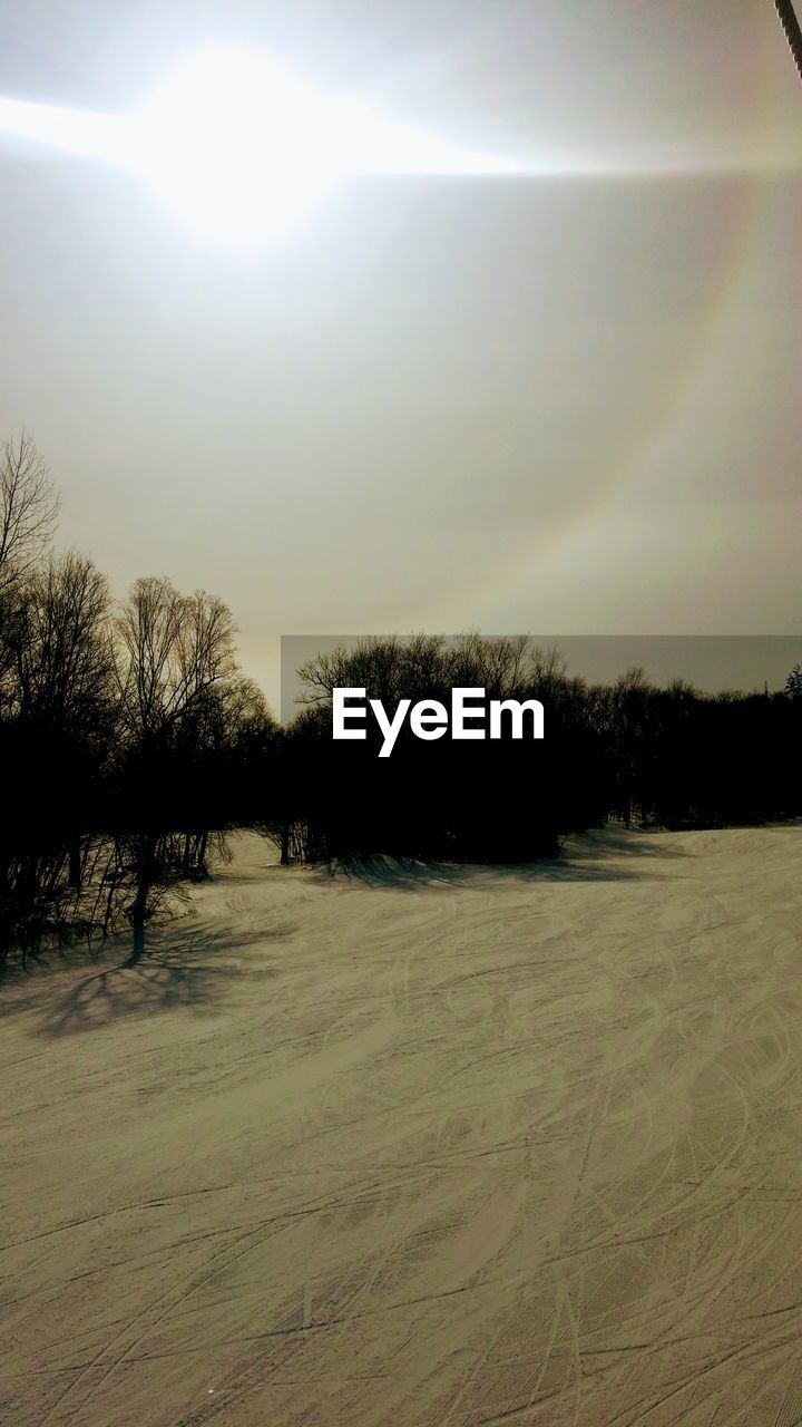 TREES ON SNOWY FIELD AGAINST SKY DURING WINTER