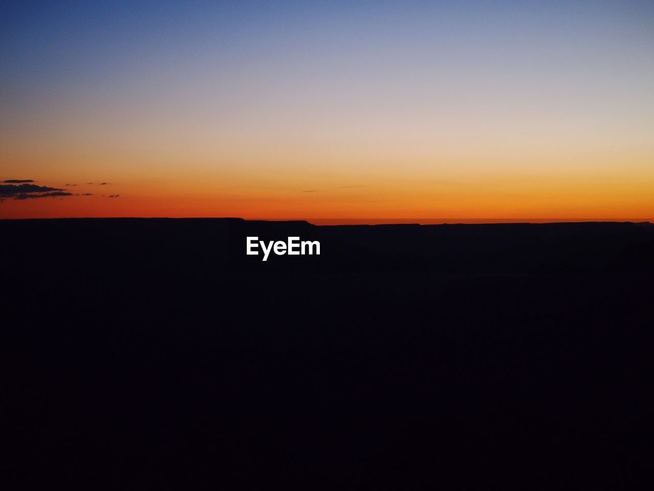 SILHOUETTE OF TREES AT SUNSET