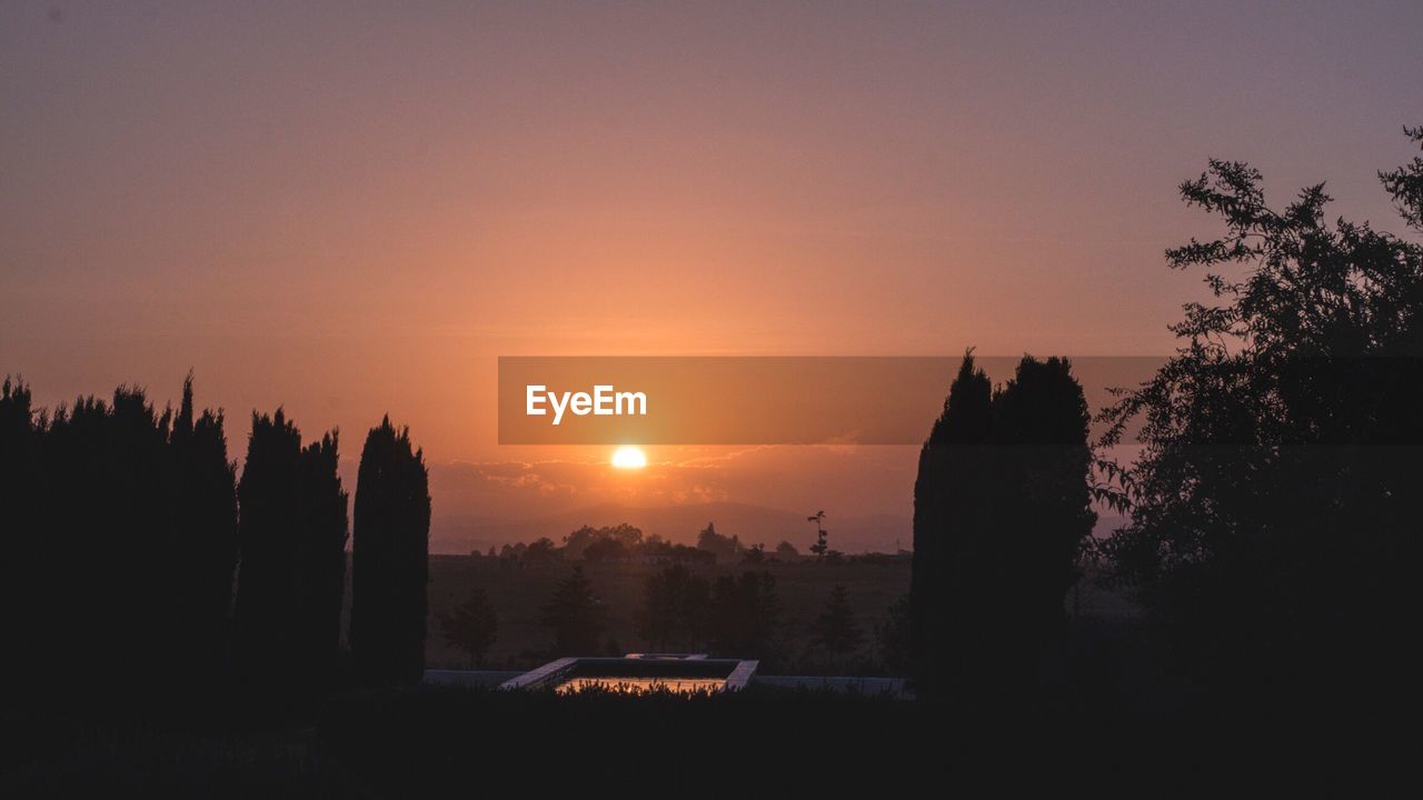 Silhouette trees against sky during sunset