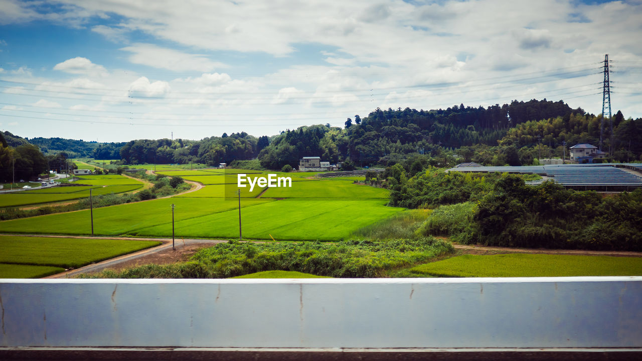 Scenic view of agricultural field against sky