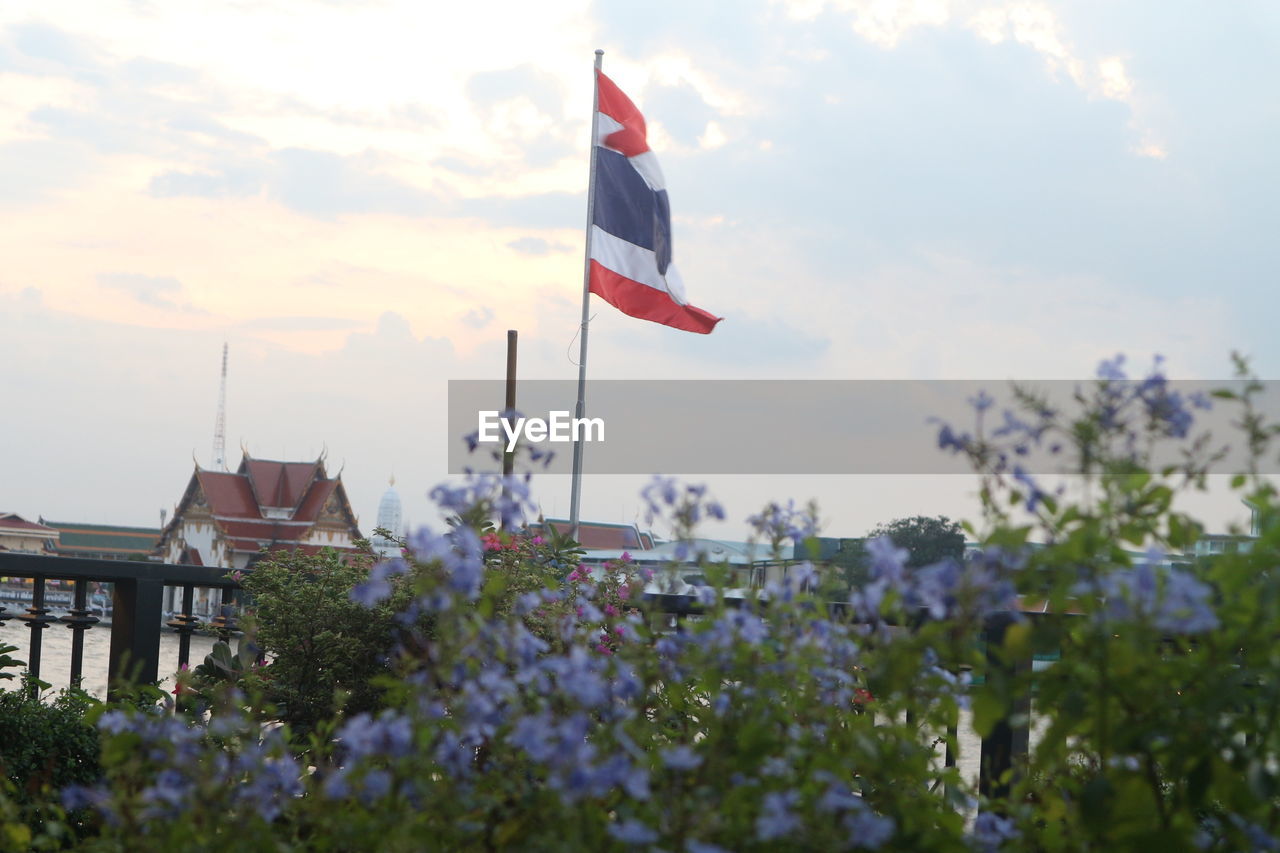 FLAGS ON PLANT AGAINST SKY