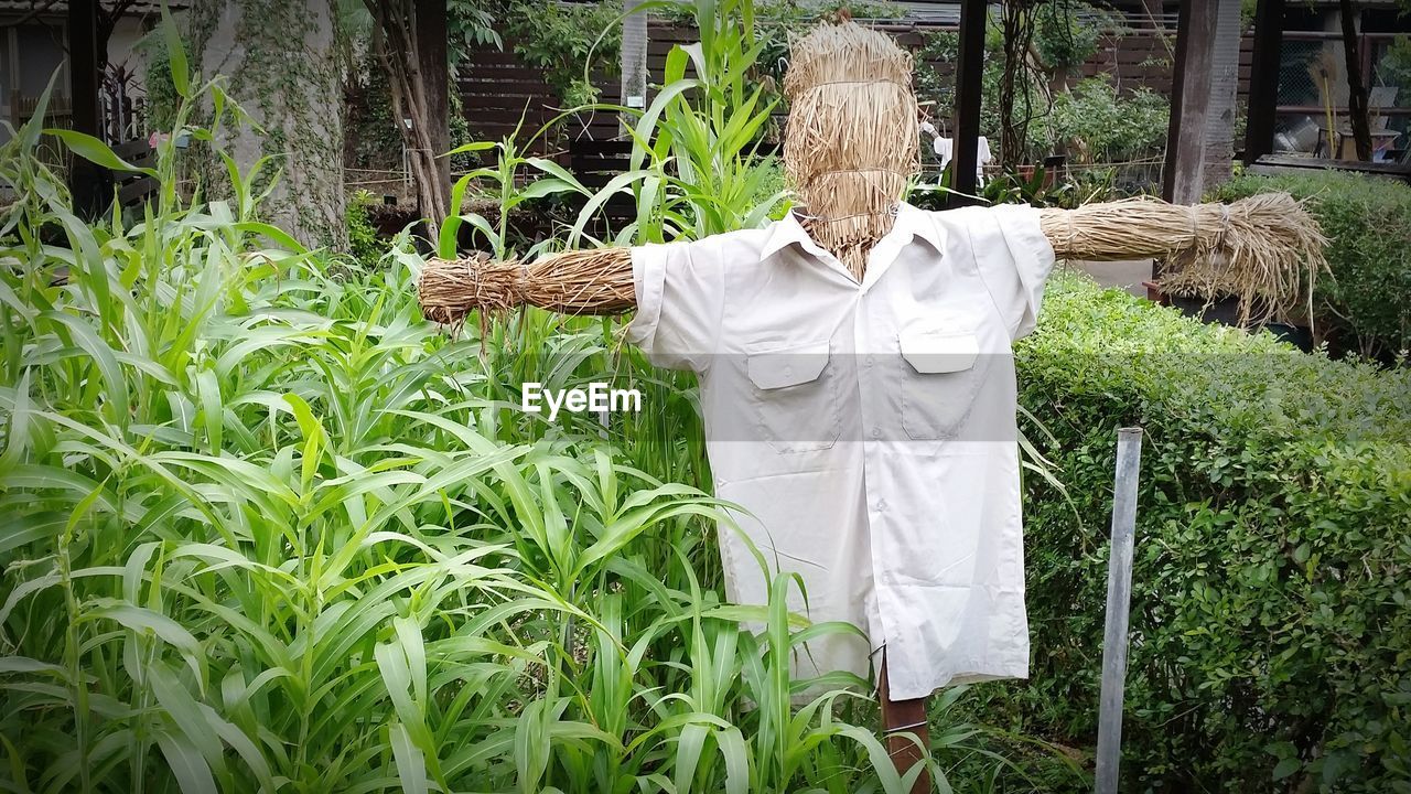 Scarecrow at farm